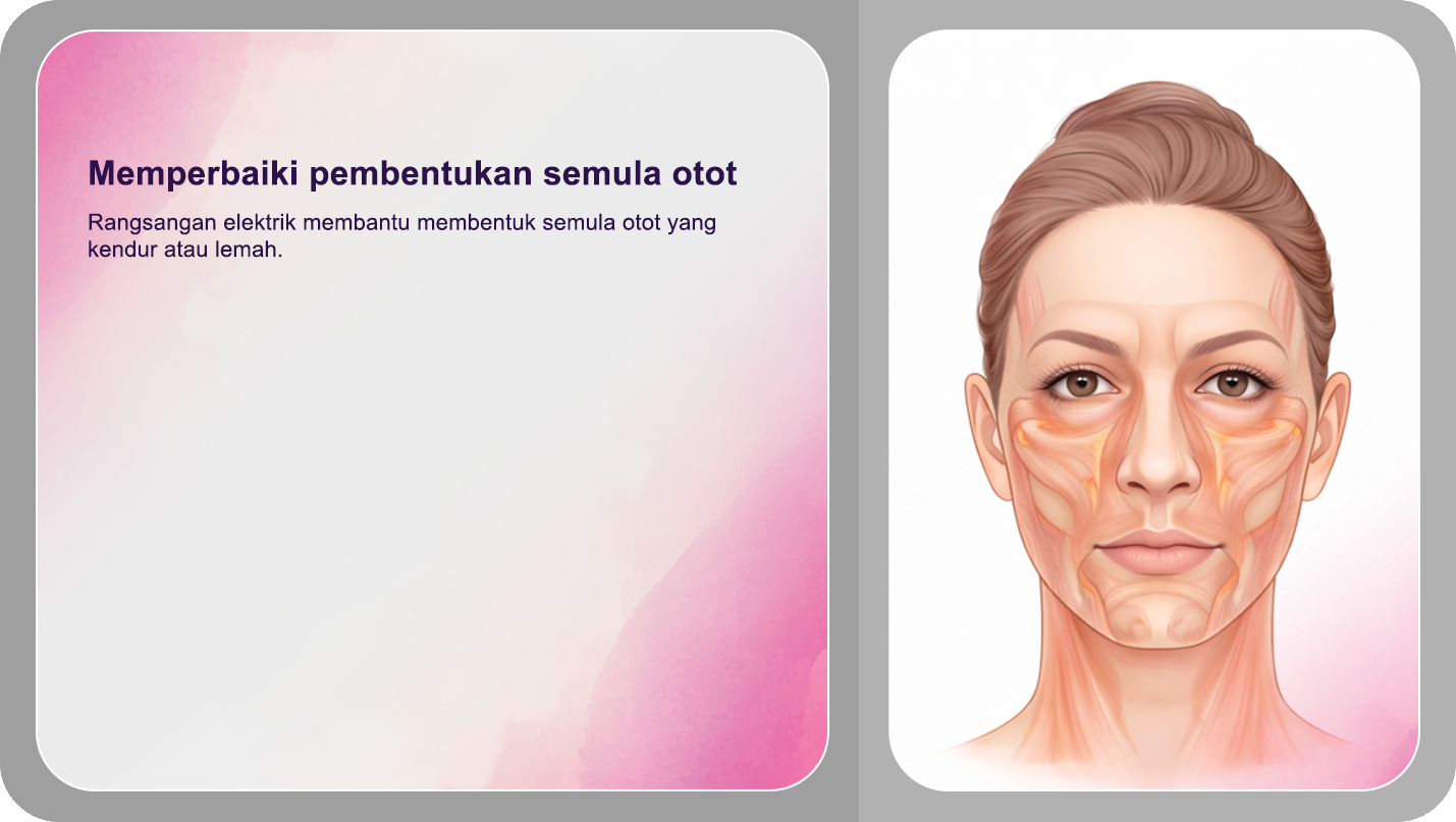 Memperbaiki Pembentukan Semula Otot